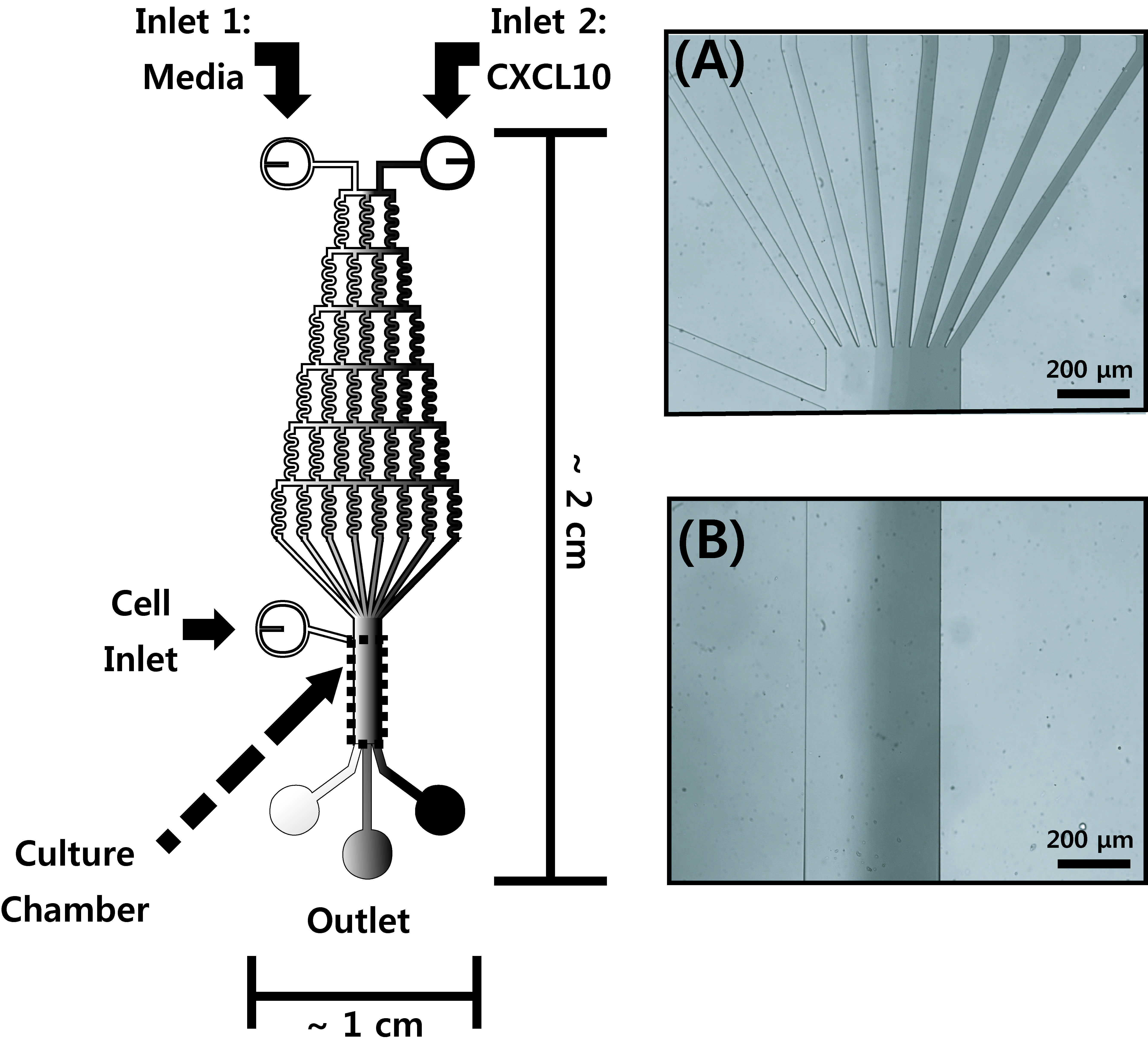 Microfluidics