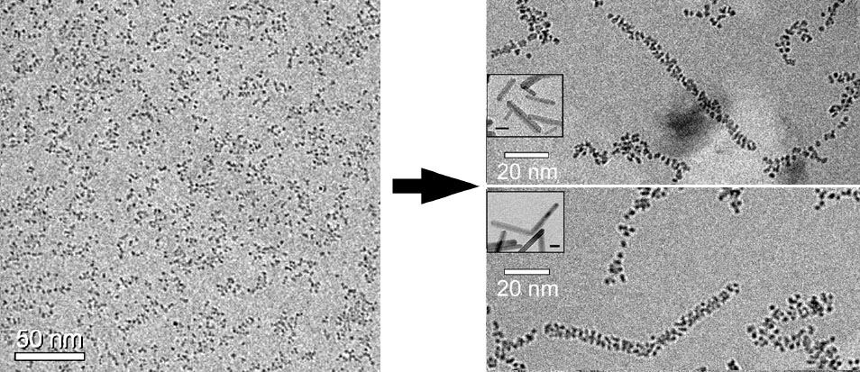 cryo-TEM images of iron oxides in vitrified water