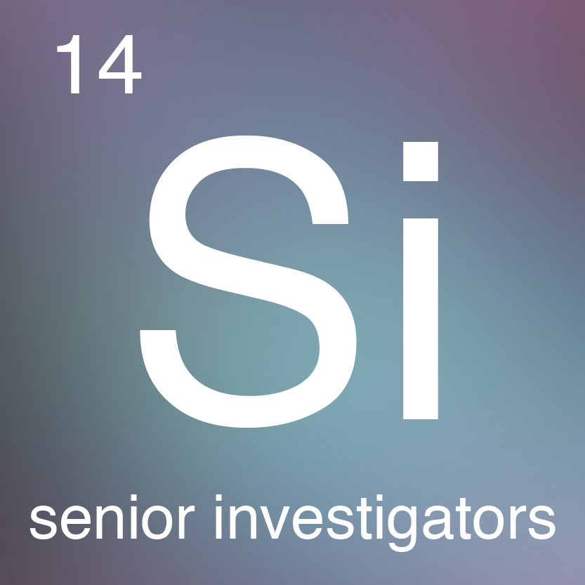 senior investigators