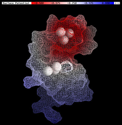 Local hardness map HIV-1 NC