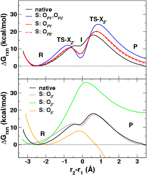 Free energy profiles